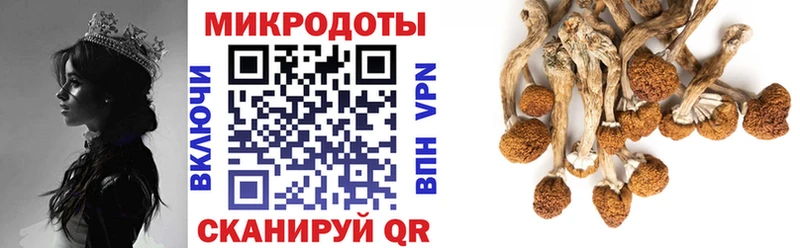 Псилоцибиновые грибы GOLDEN TEACHER  hydra tor  Новомичуринск  где можно купить наркотик 